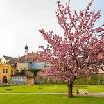 Forstinger - Boutique Schärding