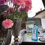 Forstinger - Boutique Schärding