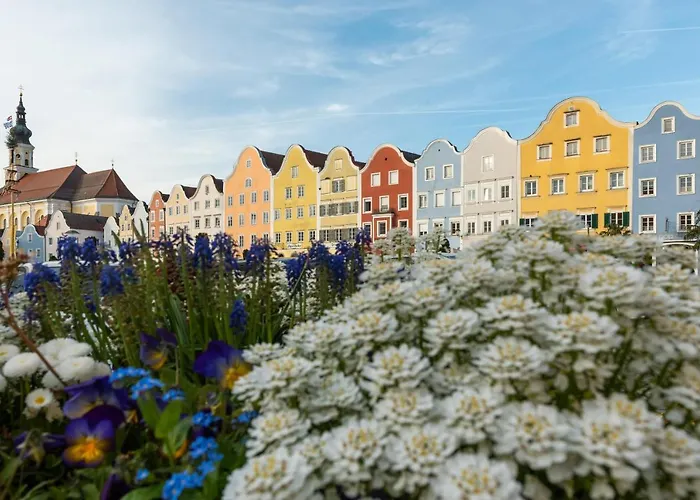 Forstinger - Boutique