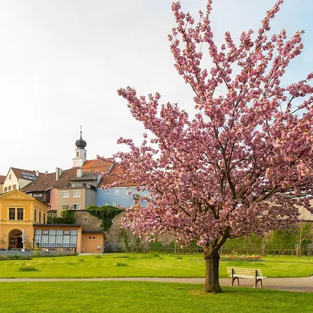 Forstinger - Boutique Schärding