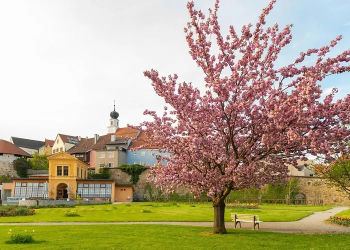 Forstinger - Boutique Schaerding