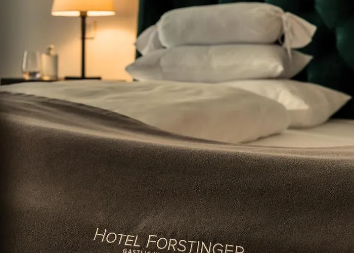 Forstinger - Boutique 4*